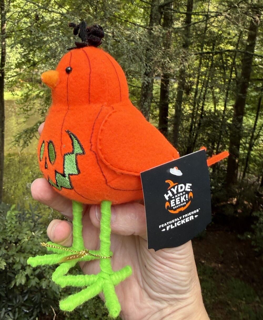 Target Halloween Featherly Friends Bird Hyde & Eek Flicker Pumpkin Bird New!